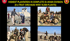 HORTICULTURE DRIVE - 2022 HIGHEST PLANTATION IN COMPLETE D-I-KHAN DIVISION (9 x FRUIT ORCHADS WITH 16,500 PLANTS)